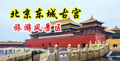 免费看美女日b视频中国北京-东城古宫旅游风景区